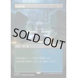 [EX](FOIL)(フルアート)迷路庭園/Hedge Maze《日本語》【MKM】