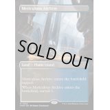 [EX+](フルアート)行き届いた書庫/Meticulous Archive《英語》【MKM】