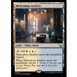 画像1: ☆SALE☆行き届いた書庫/Meticulous Archive《英語》【MKM】