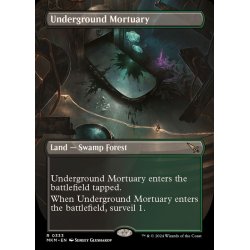 画像1: (FOIL)(フルアート)地底の遺体安置所/Underground Mortuary《英語》【MKM】