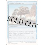 不自然な淘汰/Unnatural Selection《英語》【Reprint Cards(Mystery Booster2)】