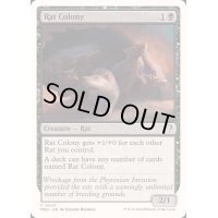 [EX+]ネズミの群棲/Rat Colony《英語》【Reprint Cards(Mystery Booster2)】