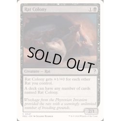 画像1: [EX+]ネズミの群棲/Rat Colony《英語》【Reprint Cards(Mystery Booster2)】
