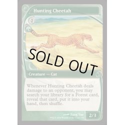 画像1: [EX+]狩りをする豹/Hunting Cheetah《英語》【Reprint Cards(Mystery Booster2)】