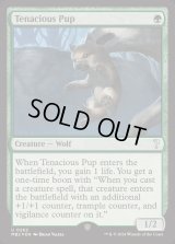 (FOIL)執拗な仔狼/Tenacious Pup《英語》【Reprint Cards(Mystery Booster2)】