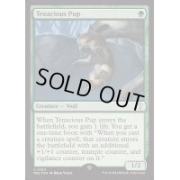 (FOIL)執拗な仔狼/Tenacious Pup《英語》【Reprint Cards(Mystery Booster2)】