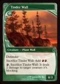 ほくちの壁/Tinder Wall《英語》【Reprint Cards(Mystery Booster2)】