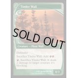 (FOIL)ほくちの壁/Tinder Wall《英語》【Reprint Cards(Mystery Booster2)】