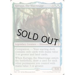 画像1: 巨智、ケルーガ/Keruga, the Macrosage《英語》【Reprint Cards(Mystery Booster2)】