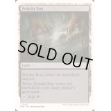 [EX+]ボジューカの沼/Bojuka Bog《英語》【Reprint Cards(Mystery Booster2)】