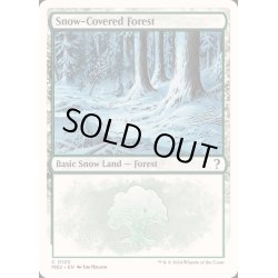 画像1: [EX+]冠雪の森/Snow-Covered Forest《英語》【Reprint Cards(Mystery Booster2)】