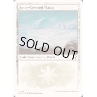 冠雪の平地/Snow-Covered Plains《英語》【Reprint Cards(Mystery Booster2)】