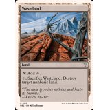 不毛の大地/Wasteland《英語》【Reprint Cards(Mystery Booster2)】
