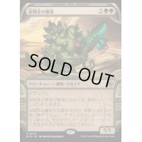 (FOIL)(ショーケース枠)逆棘芽の農家/Bristlebud Farmer《日本語》【BIG】