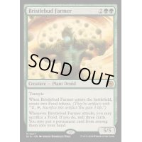 [EX+](FOIL)逆棘芽の農家/Bristlebud Farmer《英語》【BIG】