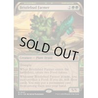 (FOIL)(ショーケース枠)逆棘芽の農家/Bristlebud Farmer《英語》【BIG】