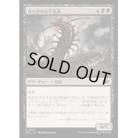 (FOIL)待ち伏せる千足虫/Ambush Gigapede《日本語》【OTJ】