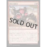 輝光の推進力/Shiny Impetus《日本語》【OTC】