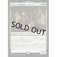 アルゴスの庇護者、ティタニア/Titania, Protector of Argoth《日本語》【OTC】