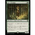 ムル・ダヤの巫女/Oracle of Mul Daya《日本語》【OTC】