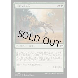 画像1: [EX+]木霊の手の内/Kodama's Reach《日本語》【OTC】