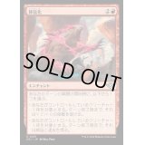 (FOIL)獰猛化/Ferocification《日本語》【OTJ】