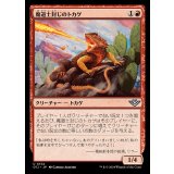 (FOIL)魔道士封じのトカゲ/Magebane Lizard《日本語》【OTJ】