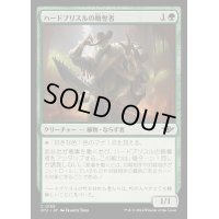 (FOIL)ハードブリスルの略奪者/Hardbristle Bandit《日本語》【OTJ】