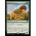 巨大なガラガラワーム/Colossal Rattlewurm《日本語》【OTJ】