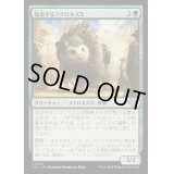 (FOIL)放浪するフクロネズミ/Rambling Possum《日本語》【OTJ】