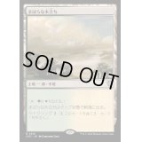 [EX+]まばらな木立ち/Scattered Groves《日本語》【OTC】