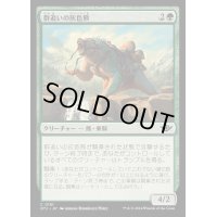 (FOIL)群追いの灰色熊/Drover Grizzly《日本語》【OTJ】