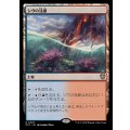 シヴの浅瀬/Shivan Reef《日本語》【OTC】