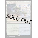 [EX+]ヤヴィマヤの沿岸/Yavimaya Coast《日本語》【OTC】