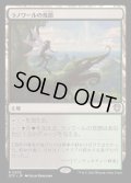 [EX+]ラノワールの荒原/Llanowar Wastes《日本語》【OTC】