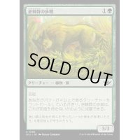 (FOIL)逆棘群の歩哨/Bristlepack Sentry《日本語》【OTJ】