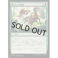 (FOIL)鞍上からの投擲/Throw from the Saddle《日本語》【OTJ】