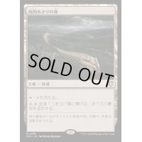 屍肉あさりの地/Scavenger Grounds《日本語》【OTC】