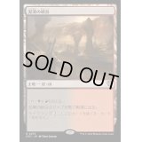 [EX+]泥濘の峡谷/Canyon Slough《日本語》【OTC】