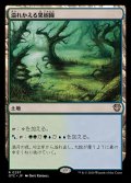 溢れかえる果樹園/Flooded Grove《日本語》【OTC】