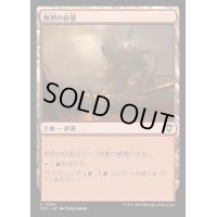 熱烈の砂漠/Desert of the Fervent《日本語》【OTC】