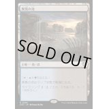 [EX+]異臭の池/Fetid Pools《日本語》【OTC】