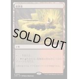 [EX+]硫黄泉/Sulfurous Springs《日本語》【OTC】