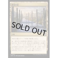 祖先の道/Path of Ancestry《日本語》【OTC】