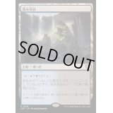 [EX+]窪み渓谷/Sunken Hollow《日本語》【OTC】