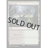 [EX+]緑ばんだ沼/Viridescent Bog《日本語》【OTC】