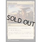 [EX+]遊牧民の前哨地/Nomad Outpost《日本語》【OTC】