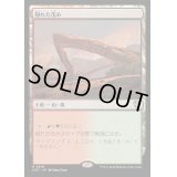 隠れた茂み/Sheltered Thicket《日本語》【OTC】