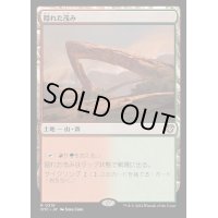 隠れた茂み/Sheltered Thicket《日本語》【OTC】
