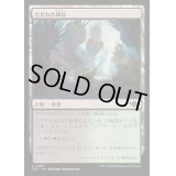 [EX+](FOIL)ただれた峡谷/Festering Gulch《日本語》【OTJ】